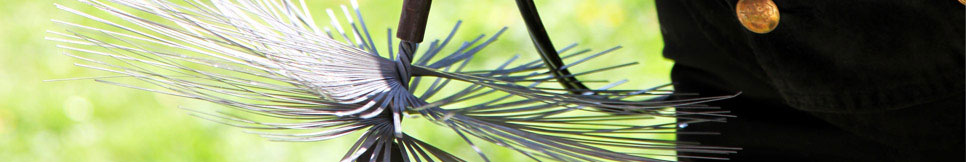 Banner - Bernd Walter